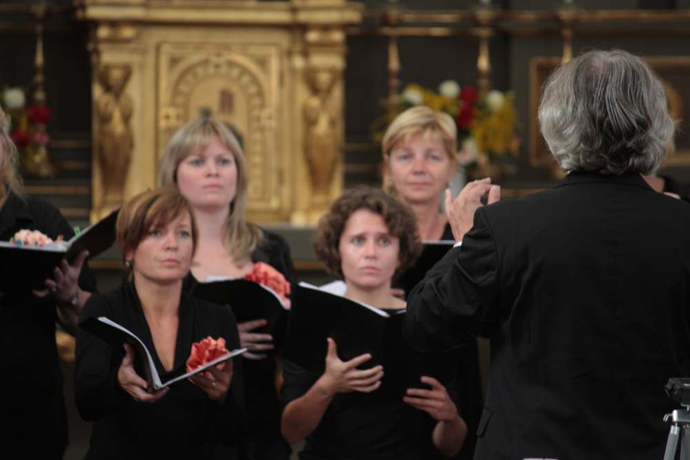 Haydnovy hudební slavnosti, Nepomuk, 2012